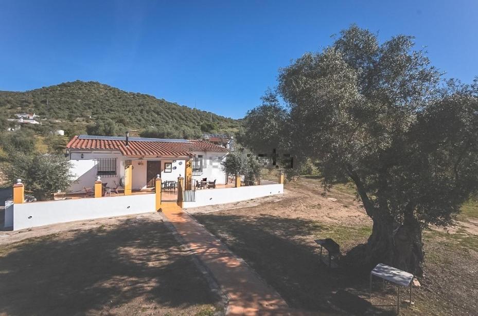 Casa Rural Los Naranjo Jerez De Los Caballeros Buitenkant foto